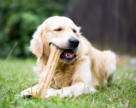 Treats